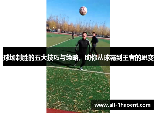球场制胜的五大技巧与策略，助你从球霸到王者的蜕变