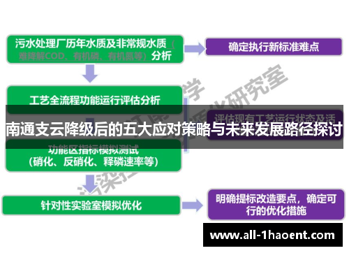 南通支云降级后的五大应对策略与未来发展路径探讨