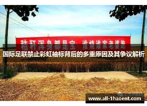 国际足联禁止彩虹袖标背后的多重原因及其争议解析
