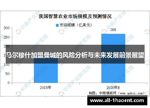 马尔穆什加盟曼城的风险分析与未来发展前景展望