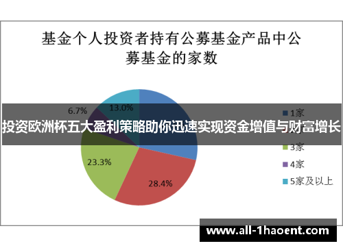 投资欧洲杯五大盈利策略助你迅速实现资金增值与财富增长 投资欧洲杯五大盈利策略助你迅速实现资金增值与财富增长