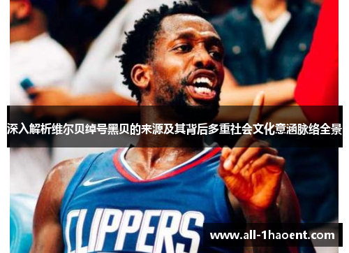 深入解析维尔贝绰号黑贝的来源及其背后多重社会文化意涵脉络全景